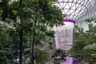 Singapur - 31 Ekim 2024: Aydınlanmış adam Singapur 'daki Jewel Changi' de şelale yaptı. Jewel Changi, Changi Havaalanı Terminali 'ne doğrudan bağlı bir alışveriş merkezidir. 