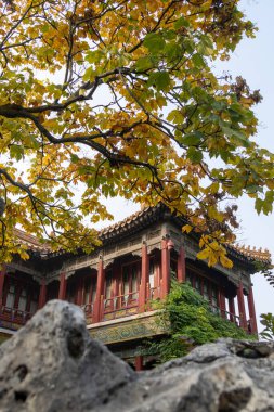 Beijing, China- 2 Nov 2024: Yang Xing Zhai building (Study of the cultivation of nature) seen from Imperial Garden in Forbidden City, Beijing. clipart