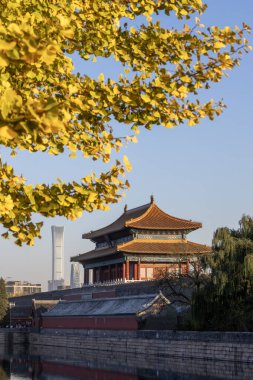 Pekin, Çin - 5 Kasım 2024: Çin 'in Pekin kentindeki Saray Müzesi' nde antik mimarinin sonbahar manzarası
