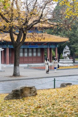 Beijing, China-11 Nov 2024: View of Zhongshan Park, Beijing. It was a former imperial altar and now a public park that lies just southwest of the Forbidden City clipart