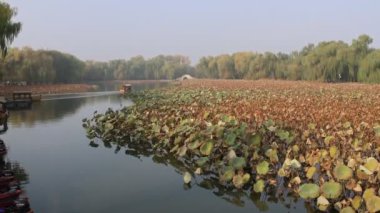Pekin, Çin - 3 Kasım 2024: Pekin, Çin 'deki Yuanmingyuan Parkı' nda turistler için tekne turu. Çin tarihinin en muhteşem ve lüks imparatorluk bahçesiydi.