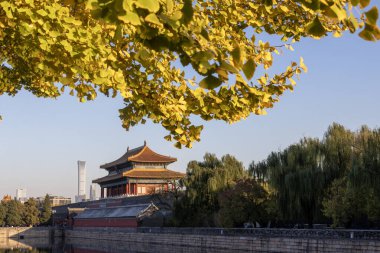 Pekin, Çin - 5 Kasım 2024: Çin 'in Pekin kentindeki Saray Müzesi' nde antik mimarinin sonbahar manzarası