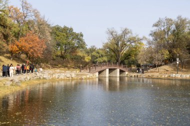 Pekin, Çin - 3 Kasım 2024: Turistler Pekin, Çin 'deki Yuanmingyuan Parkı' nı ziyaret ettiler. Çin tarihinin en muhteşem ve lüks imparatorluk bahçesiydi.