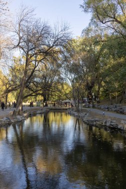 Pekin, Çin - 3 Kasım 2024: Pekin, Çin 'deki Yuanmingyuan Parkının güzel sonbahar manzarası. Çin tarihinin en muhteşem ve lüks imparatorluk bahçesiydi.