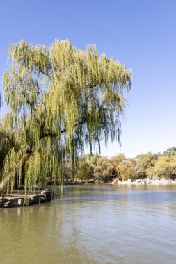 Sonbahar boyunca Pekin 'deki Yuanmingyuan Bahçesi. Qing Hanedanlığı 'nda inşa edilmiş ve 1860' da yakılmış bir imparatorluk bahçesi.