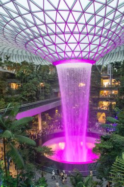 Singapur - 31 Ekim 2024: Aydınlanmış adam Singapur 'daki Jewel Changi' de şelale yaptı. Jewel Changi, Changi Havaalanı Terminali 'ne doğrudan bağlı bir alışveriş merkezidir.