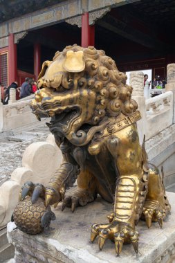 Pekin, Çin - 2 Kasım 2024: Yasak Şehir, Pekin 'deki Kutsal Saflığın Kapısı önündeki altın aslan heykeli.