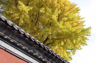 Çin, Pekin 'deki Yaz Sarayı' nın sonbahar manzarası. Qing Hanedanlığı zamanında bir imparatorluk bahçesiydi..