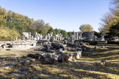 Pekin, Çin - 3 Kasım 2019: Pekin 'deki Yuanmingyuan Bahçesi içinde Batı Evi veya Xiyanglou kalıntıları. Qing Hanedanlığı 'nda inşa edilmiş ve 1860' da yakılmış bir imparatorluk bahçesi.