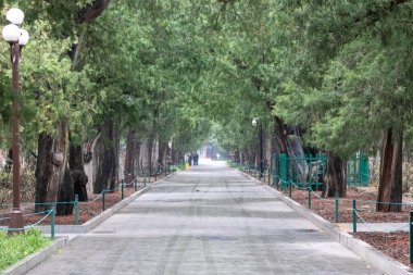 Beijing, China-11 Nov 2024: View of Zhongshan Park, Beijing. It was a former imperial altar and now a public park that lies just southwest of the Forbidden City clipart