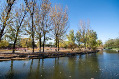 Çin, Pekin 'deki Yuanmingyuan Parkı' nın güzel sonbahar manzarası. Çin tarihinin en muhteşem ve lüks imparatorluk bahçesiydi.