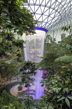 Singapur - 31 Ekim 2024: Aydınlanmış adam Singapur 'daki Jewel Changi' de şelale yaptı. Jewel Changi, Changi Havaalanı Terminali 'ne doğrudan bağlı bir alışveriş merkezidir.
