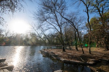 Pekin, Çin - 3 Kasım 2024: Pekin, Çin 'deki Yuanmingyuan Parkının güzel sonbahar manzarası. Çin tarihinin en muhteşem ve lüks imparatorluk bahçesiydi.