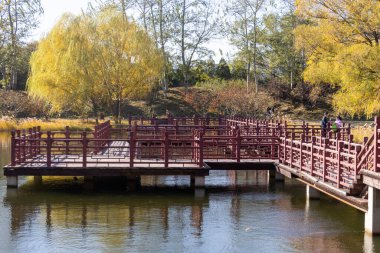 Pekin, Çin - 3 Kasım 2019: Sonbahar boyunca Pekin 'deki Yuanmingyuan Bahçesi. Qing Hanedanlığı 'nda inşa edilmiş ve 1860' da yakılmış bir imparatorluk bahçesi.