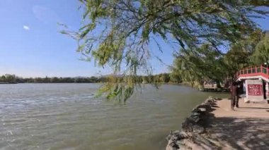 Pekin, Çin - 3 Kasım 2024: Pekin, Çin 'deki Yuanmingyuan Parkının güzel sonbahar manzarası. Çin tarihinin en muhteşem ve lüks imparatorluk bahçesiydi.