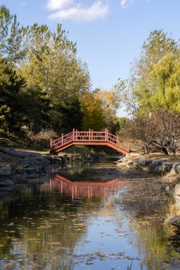 Sonbahar boyunca Pekin 'deki Yuanmingyuan Bahçesi. Qing Hanedanlığı 'nda inşa edilmiş ve 1860' da yakılmış bir imparatorluk bahçesi.