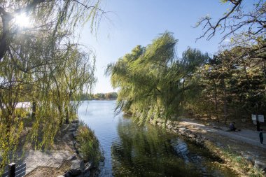 Pekin, Çin - 3 Kasım 2024: Pekin, Çin 'deki Yuanmingyuan Parkının güzel sonbahar manzarası. Çin tarihinin en muhteşem ve lüks imparatorluk bahçesiydi.