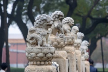 Stone lion sculptures on the bridge inside the Forbidden city, Beijing clipart