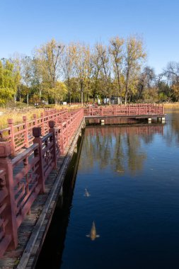 Pekin, Çin - 3 Kasım 2019: Sonbahar boyunca Pekin 'deki Yuanmingyuan Bahçesi. Qing Hanedanlığı 'nda inşa edilmiş ve 1860' da yakılmış bir imparatorluk bahçesi.