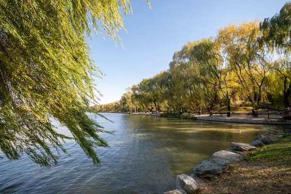 Pekin, Çin - 3 Kasım 2024: Pekin, Çin 'deki Yuanmingyuan Parkının güzel sonbahar manzarası. Çin tarihinin en muhteşem ve lüks imparatorluk bahçesiydi.