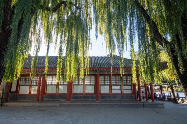 Pekin, Çin - 4 Kasım 2024: Pekin, Çin 'deki Yaz Sarayı manzarası. Qing Hanedanlığı zamanında bir imparatorluk bahçesiydi..