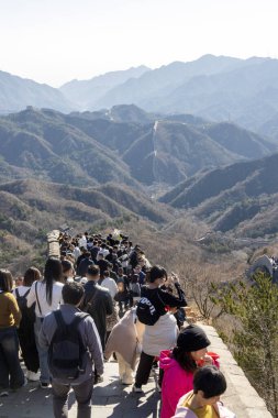 Pekin, Çin - 6 Kasım 2024: Güneşli bir sonbahar gününde birçok ziyaretçiyle Badaling 'deki Çin Seddi. İşkence, Çin Seddi 'nin en çok ziyaret edilen yeridir.