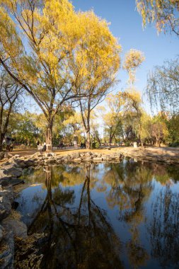Pekin, Çin - 3 Kasım 2024: Pekin, Çin 'deki Yuanmingyuan Parkının güzel sonbahar manzarası. Çin tarihinin en muhteşem ve lüks imparatorluk bahçesiydi.