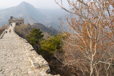Pekin, Çin - 8 Kasım 2024: Pekin, Çin 'deki Simatai Çin Seddi, sonbahar dönemi. Simatai olağanüstü manzarası ve dik tırmanışlarıyla ünlüdür.