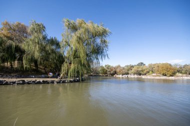 Pekin, Çin - 3 Kasım 2019: Çin, Pekin 'deki Yuanmingyuan parkında Fuhai Gölü manzarası. Doğu Gölü olarak da bilinen Fuhai, tüm parktaki en büyük göldür.