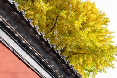 Çin, Pekin 'deki Yaz Sarayı' nın sonbahar manzarası. Qing Hanedanlığı zamanında bir imparatorluk bahçesiydi..