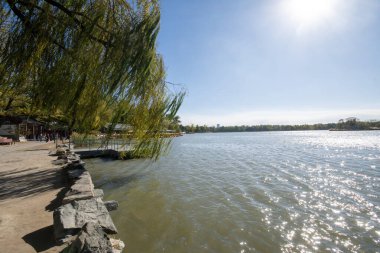Pekin, Çin - 3 Kasım 2019: Çin, Pekin 'deki Yuanmingyuan parkında Fuhai Gölü manzarası. Doğu Gölü olarak da bilinen Fuhai, tüm parktaki en büyük göldür.