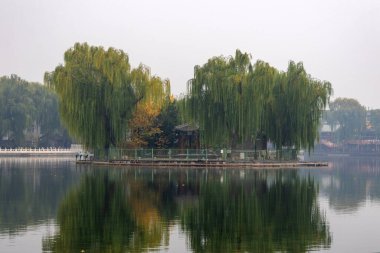 Pekin, Çin-11 Kasım 2024: Pekin 'de bulunan Shichahai manzarası. Shichahai merkezi Pekin 'in kuzeyindeki üç gölden oluşan tarihi manzaralı bir bölgedir.