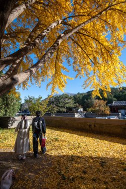 Pekin, Çin - 4 Kasım 2024: Pekin, Çin 'deki Yaz Sarayı' nın sonbahar manzarası. Qing Hanedanlığı zamanında bir imparatorluk bahçesiydi..