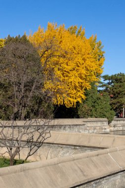 Çin, Pekin 'deki Yaz Sarayı' nın sonbahar manzarası. Qing Hanedanlığı zamanında bir imparatorluk bahçesiydi..
