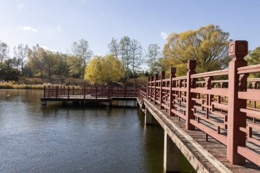 Sonbahar boyunca Pekin 'deki Yuanmingyuan Bahçesi. Qing Hanedanlığı 'nda inşa edilmiş ve 1860' da yakılmış bir imparatorluk bahçesi.