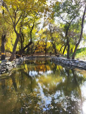 Pekin, Çin - 3 Kasım 2024: Pekin, Çin 'deki Yuanmingyuan Parkının güzel sonbahar manzarası. Çin tarihinin en muhteşem ve lüks imparatorluk bahçesiydi.