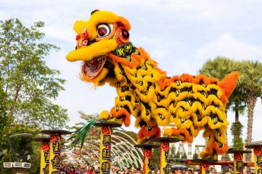 Singapur - 12 Şubat 2024: Çin Yeni Yılı sırasında Singapur 'da Çin aslan dansı gösterisi. Aslan dansı Çin kültüründe geleneksel bir dans biçimidir.