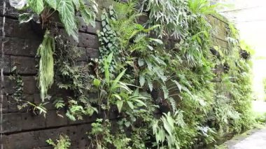 Singapur Japon Bahçesi 'nin içindeki batık bahçe manzarası