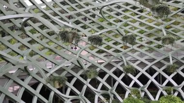 Singapur - 29 Ocak 2025: Singapur 'daki Sentosa Adası' nda Kokulu Küre. Sentosa 'ya özgü kokulu bitkilerle dolu bereketli bir vahadır.