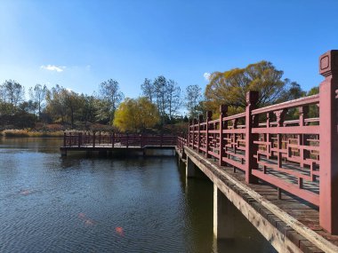 Pekin, Çin - 3 Kasım 2024: Pekin, Çin 'deki Yuanmingyuan Parkının güzel sonbahar manzarası. Çin tarihinin en muhteşem ve lüks imparatorluk bahçesiydi.