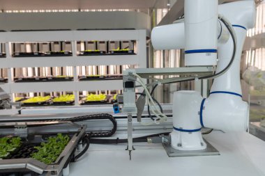 Tam otomatikleştirilmiş tohumlama, fidanlık ve hasat ile akıllı robot çiftçileri kavramı. Tarım teknolojisi