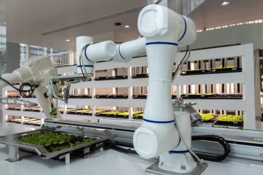 Tam otomatikleştirilmiş tohumlama, fidanlık ve hasat ile akıllı robot çiftçileri kavramı. Tarım teknolojisi