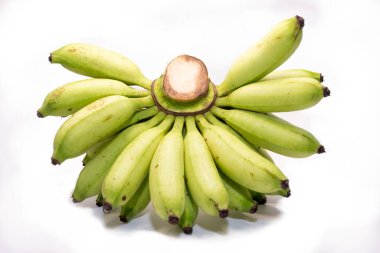 Kadın parmak muzları (ayrıca şeker muzları, incir muzları ya da muz tarihleri olarak da bilinir). Malezya ya da Endonezya kökenli.