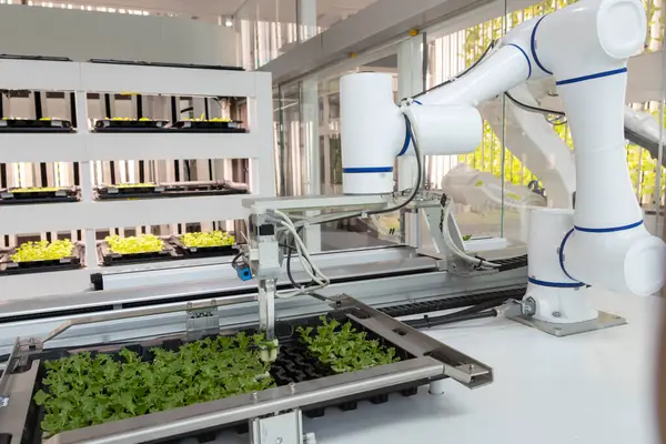 Tam otomatikleştirilmiş tohumlama, fidanlık ve hasat ile akıllı robot çiftçileri kavramı. Tarım teknolojisi