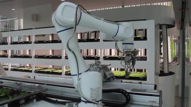 Tam otomatikleştirilmiş tohumlama, fidanlık ve hasat ile akıllı robot çiftçileri kavramı. Tarım teknolojisi