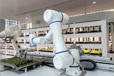 Tam otomatikleştirilmiş tohumlama, fidanlık ve hasat ile akıllı robot çiftçileri kavramı. Tarım teknolojisi