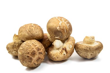 Beyaz arka planda izole edilmiş çiğ mantar. Shiitake mantarları iyi bir B vitamini ve D vitamini kaynağıdır.