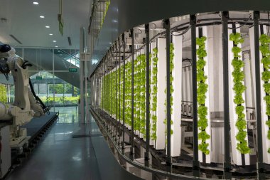 Tam otomatikleştirilmiş tohumlama, fidanlık ve hasat ile akıllı robot çiftçileri kavramı. Tarım teknolojisi