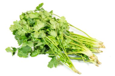 Beyaz arkaplanda yeşil ve taze kişniş izole