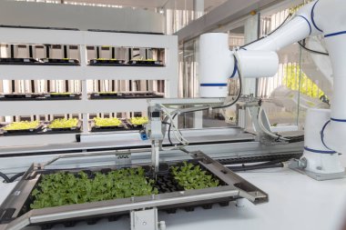 Tam otomatikleştirilmiş tohumlama, fidanlık ve hasat ile akıllı robot çiftçileri kavramı. Tarım teknolojisi